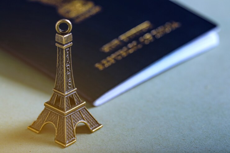 travel-concept-indian-passport-with-paper-airplane_54391-766